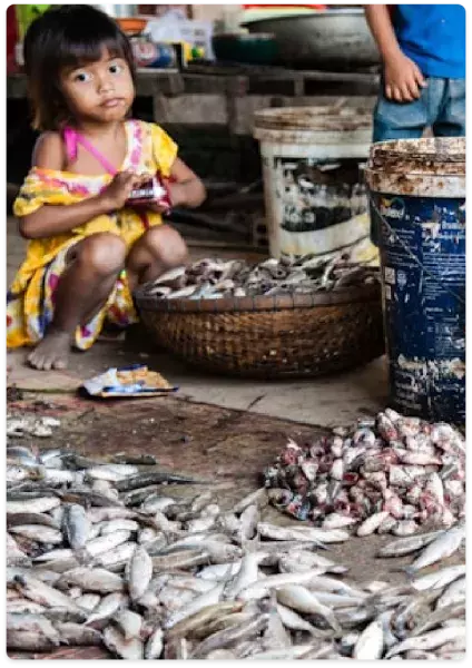 cambodge